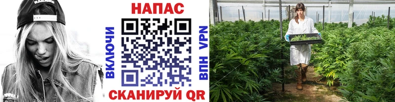 Хочу наркоту Отрадная Гашиш Бошки Шишки блэк спрут зеркало Меф мяу мяу Alpha-PVP АМФЕТАМИН
