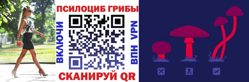 Псилоцибиновые грибы мухоморы  где продают наркотики  Отрадная 